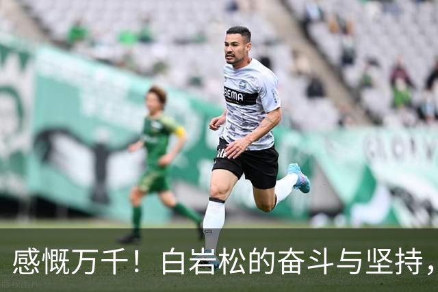 感慨万千！白岩松的奋斗与坚持，沉甸甸的白发背后的故事